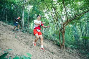 BIB: 
                            <button type="button" onclick="openModal(28160559)" class="btn btn-primary btn-sm float-right btn-popup" data-toggle="modal" data-target=".modal-high-quality">
                        <i class="fas fa-shopping-cart"></i> Add to Cart
                    </button>
                                            <button type="button" onclick="isThisMe(28160559, true)" class="btn btn-success btn-sm float-right btn-popup btn-isme hidden" data-toggle="tooltip" data-placement="bottom" title="นี่คือรูปของคุณใช่ไหม คลิกที่นี่เพื่อเอาเข้าอัลบั้ม">
                        <i class="fas fa-plus"></i> Add to album
                    </button>
                    <button type="button" onclick="isThisMe(28160559, false)" class="btn btn-warning btn-sm float-right btn-popup btn-isnotme hidden">
                        <i class="fas fa-ban"></i> Remove from album
                    </button>